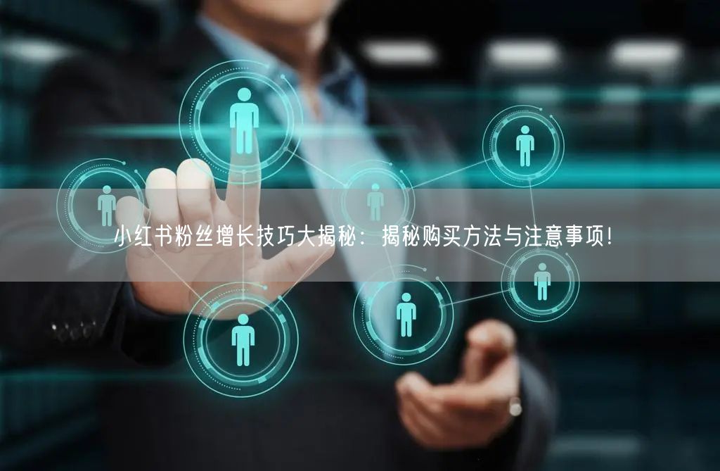 小红书粉丝增长技巧大揭秘：揭秘购买方法与注意事项！