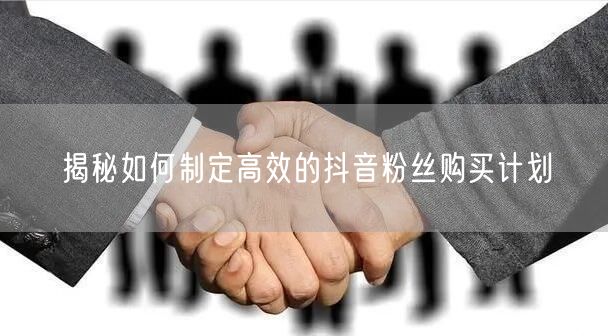 揭秘如何制定高效的抖音粉丝购买计划