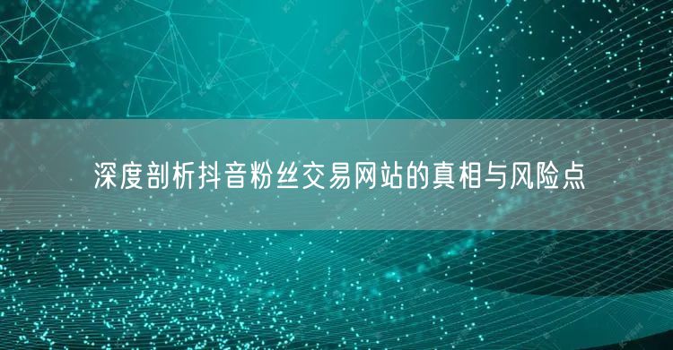 深度剖析抖音粉丝交易网站的真相与风险点