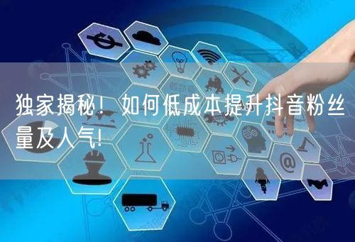 独家揭秘！如何低成本提升抖音粉丝量及人气!