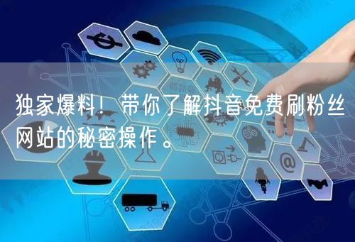 独家爆料！带你了解抖音免费刷粉丝网站的秘密操作。