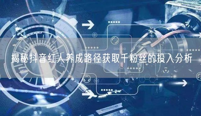 揭秘抖音红人养成路径获取千粉丝的投入分析