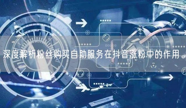 深度解析粉丝购买自助服务在抖音涨粉中的作用。