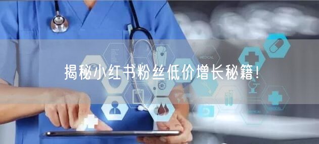 揭秘小红书粉丝低价增长秘籍！