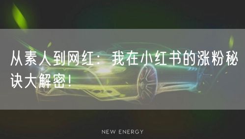 从素人到网红：我在小红书的涨粉秘诀大解密！