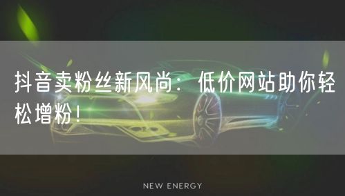 抖音卖粉丝新风尚：低价网站助你轻松增粉！